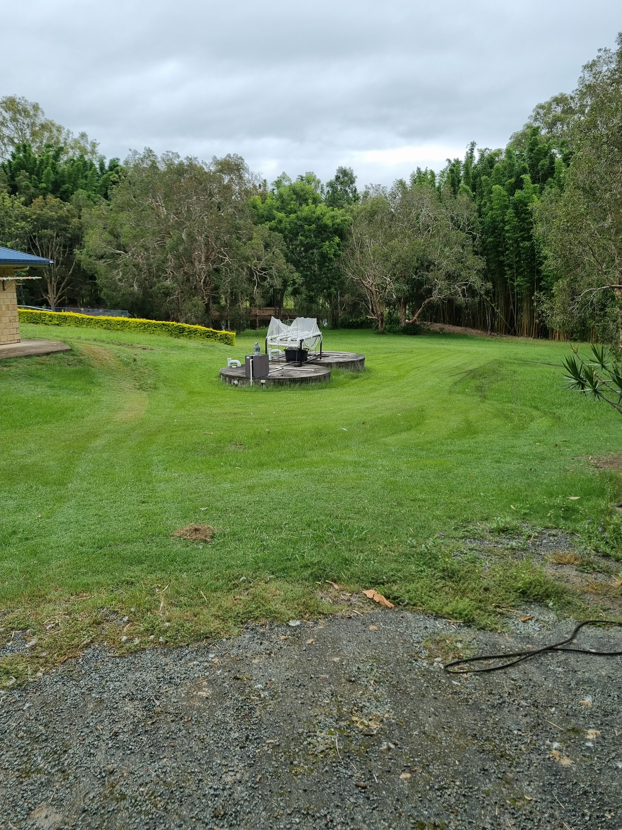 A large acreage lawn cut clean with visible stripes, bush and a dam behind